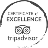 Tripadvisor Certificate of Excellence logo, featuring an owl design, enclosed within a circular stamp outline.