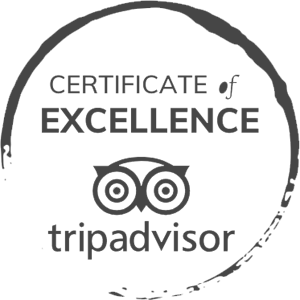 The image shows a "Certificate of Excellence" from TripAdvisor, featuring the company's logo which includes two stylized owls.