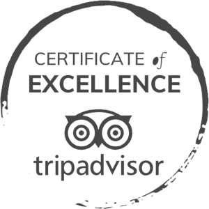 The image shows a "Certificate of Excellence" from TripAdvisor, featuring the company's logo which includes two stylized owls. logo on footer section.