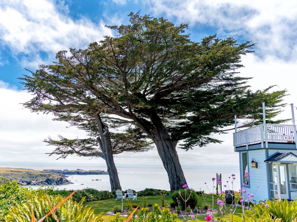 A scenic coastal view with large trees, a blue house, a garden with flowers, and the sea in the background under a partly cloudy sky.