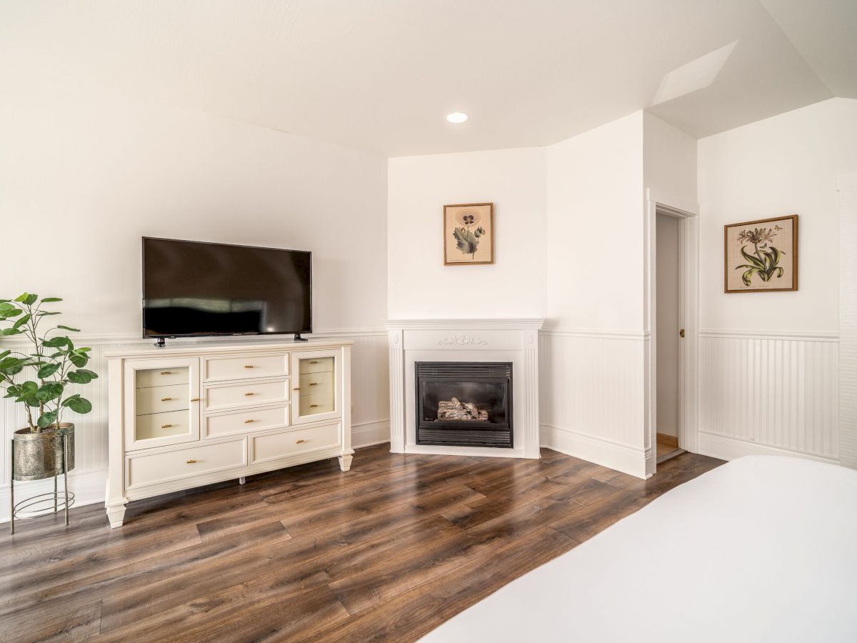 A bright room with a TV on a white cabinet, a small fireplace, a potted plant, and two framed pictures on the walls.