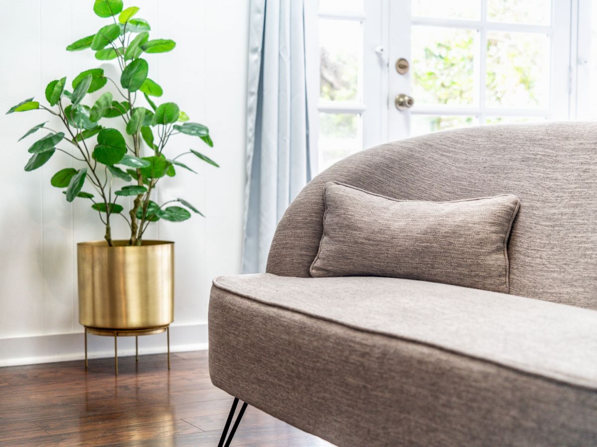 This image shows a modern living room interior with a gray sofa, a small pillow, a houseplant in a gold planter, and large windows with light curtains.