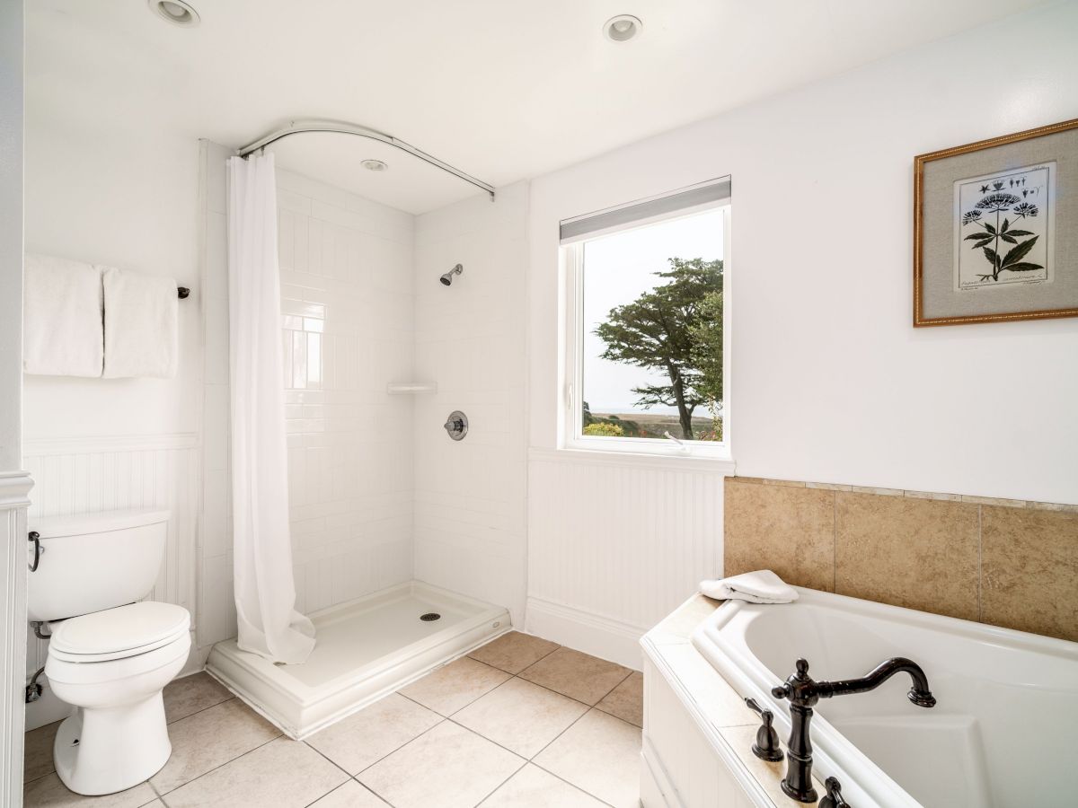 This image shows a clean, white bathroom with a shower, toilet, bathtub, a window with a tree view, and a framed picture on the wall.