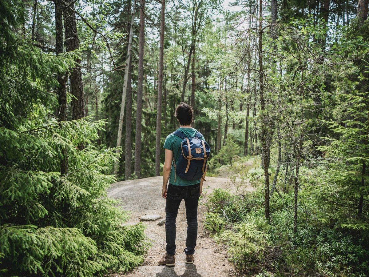 A person with a backpack stands on a forest trail, surrounded by trees and greenery, looking into the distance.