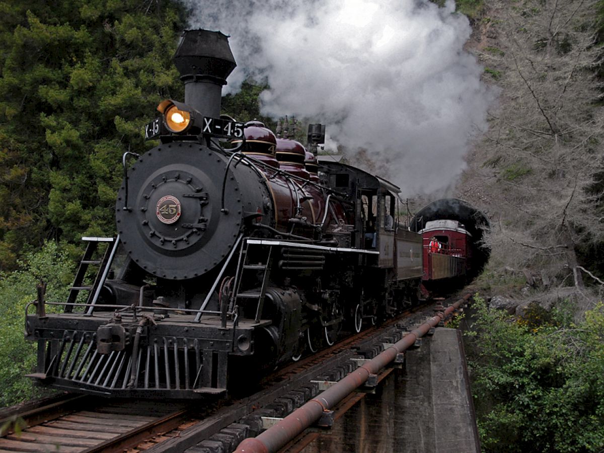 A steam locomotive is moving on railroad tracks through lush greenery, with steam billowing from its chimney.