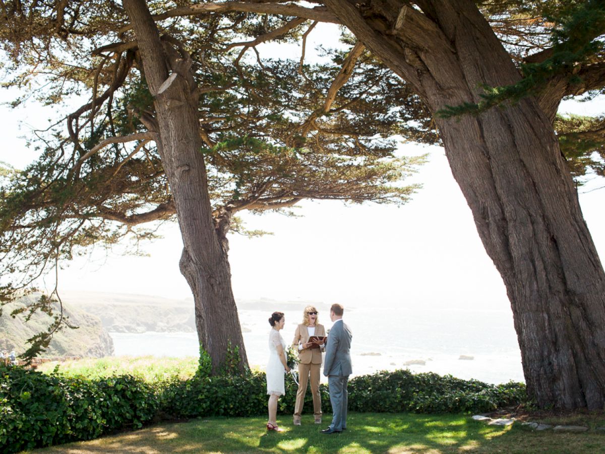 A couple stands with an officiant, likely during a wedding ceremony, under large trees with a scenic background of the ocean and cliffs.