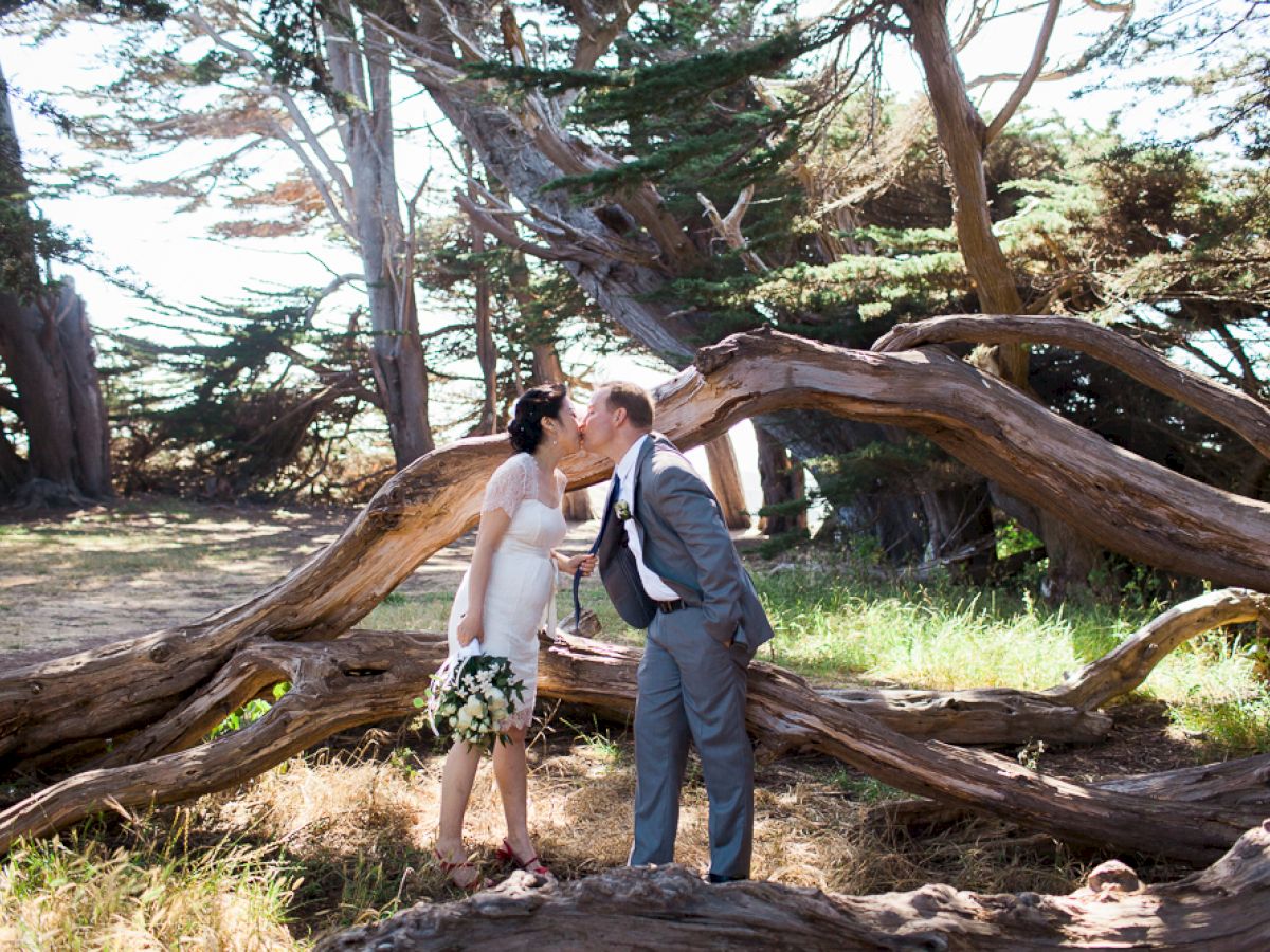 A couple is sharing a kiss in a natural outdoor setting, surrounded by large, fallen tree branches and greenery, creating a romantic scene.