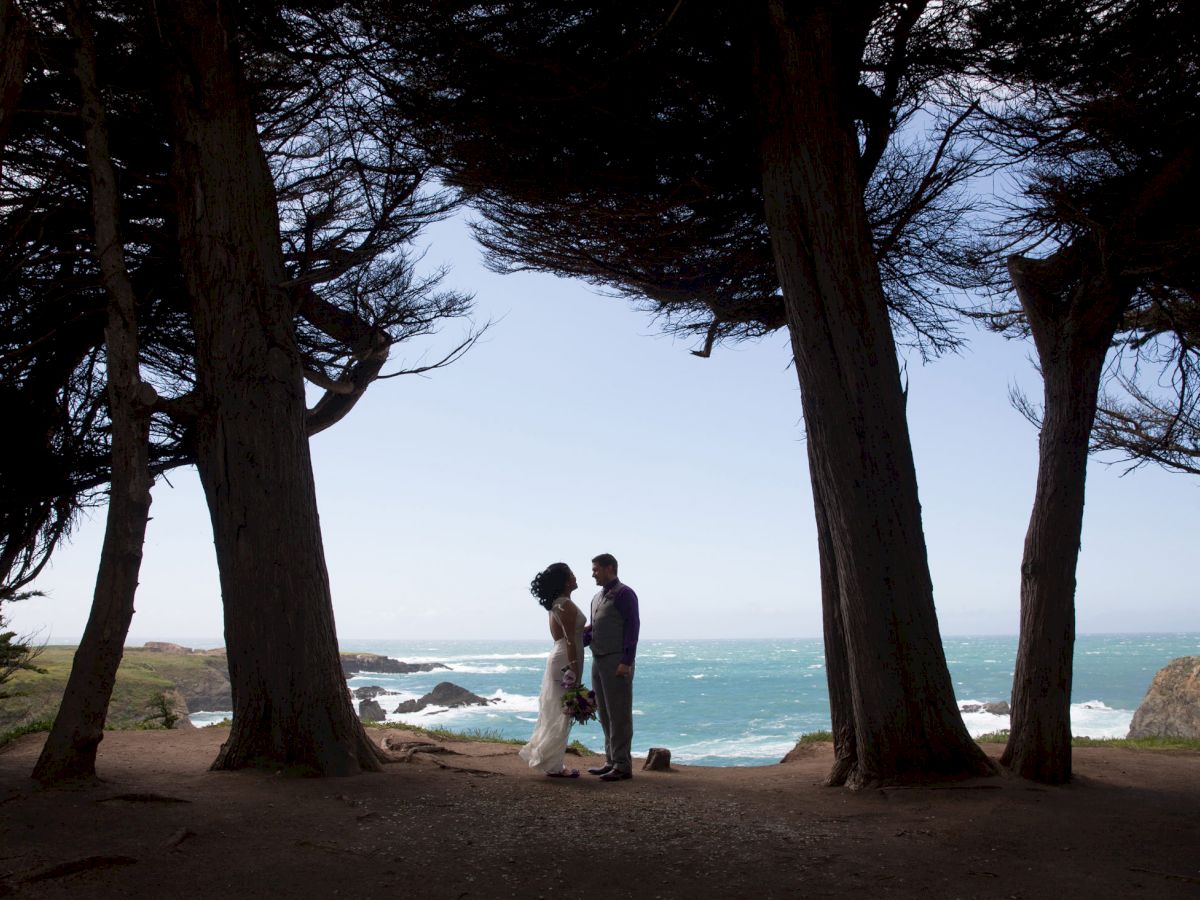 A couple stands together by the ocean, framed by tall trees, with a scenic view of the rocky coastline in the background, enjoying the moment.