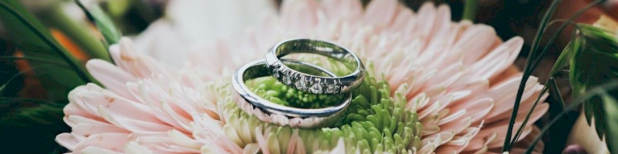 Two wedding rings are placed on a pink flower with green center, likely symbolizing marriage or engagement.