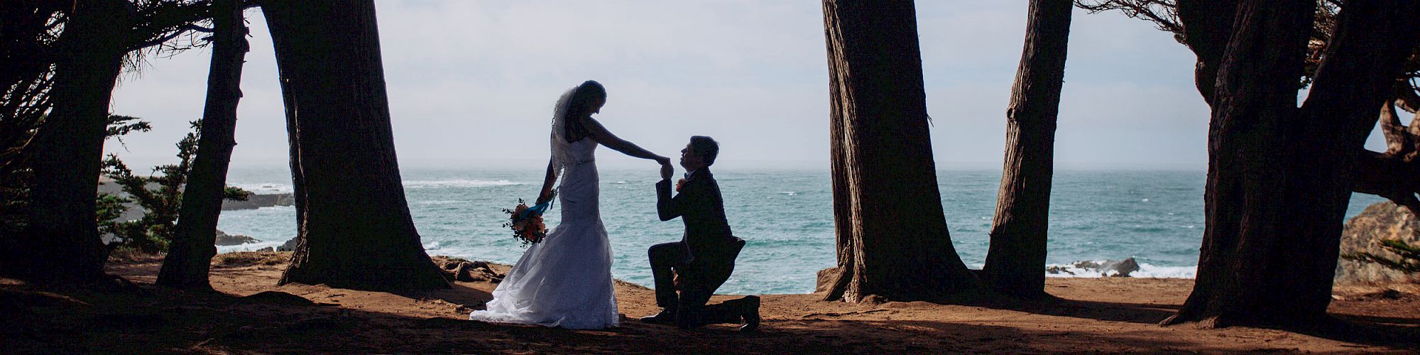 A couple is silhouetted by the sea and trees; one person is kneeling, and the other is standing, creating a romantic scene at the beach.