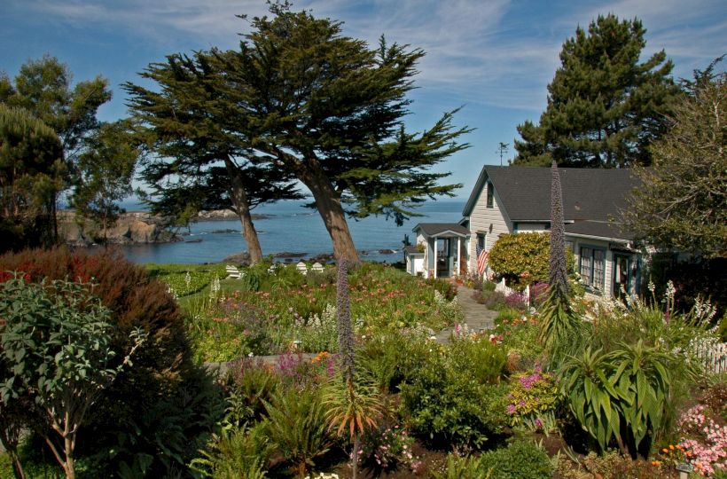 A coastal garden with diverse plants, a large tree, and a house overlooking the ocean under a blue sky.