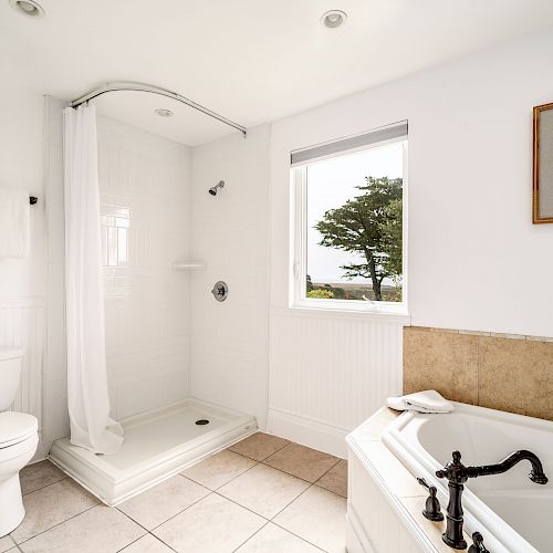 A clean, white bathroom with a shower, toilet, and bathtub looks out on a scenic view through a window, featuring a framed picture on the wall.