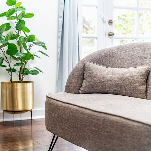 The image shows a cozy living room with a light gray sofa, a matching cushion, and a potted green plant in a gold pot beside it.