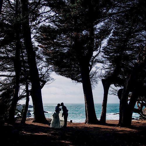 A couple in wedding attire stands embraced beneath tall trees near a beach with the ocean in the background.