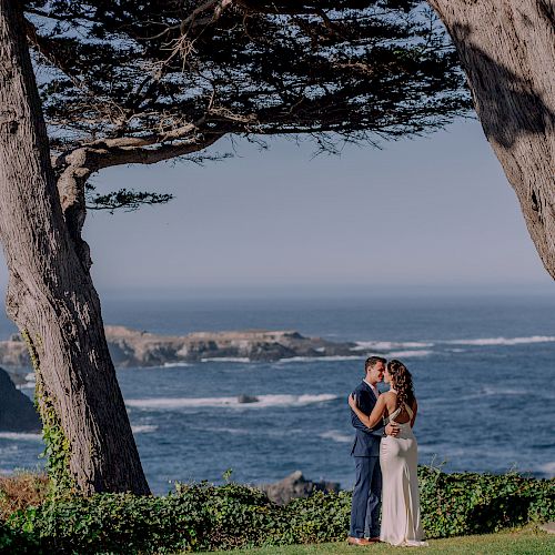 A couple embraces under two large trees, overlooking a rocky shoreline with blue ocean waves, creating a romantic and scenic atmosphere.