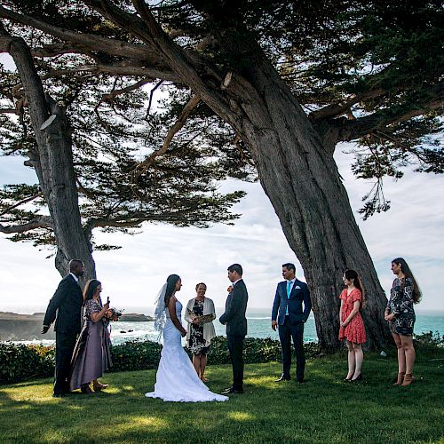 A wedding ceremony is taking place outdoors under a large tree with the ocean in the background. The couple, officiant, and guests are present.