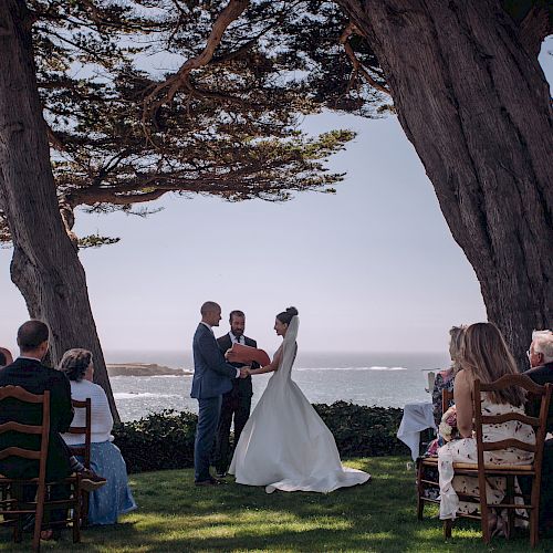 A couple is getting married outdoors between two large trees, with an ocean in the background and guests seated on each side of the aisle.