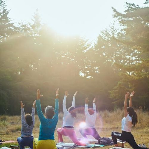 A group of people practicing yoga outdoors in a sunny, wooded area. They are on mats, performing a pose with raised arms.