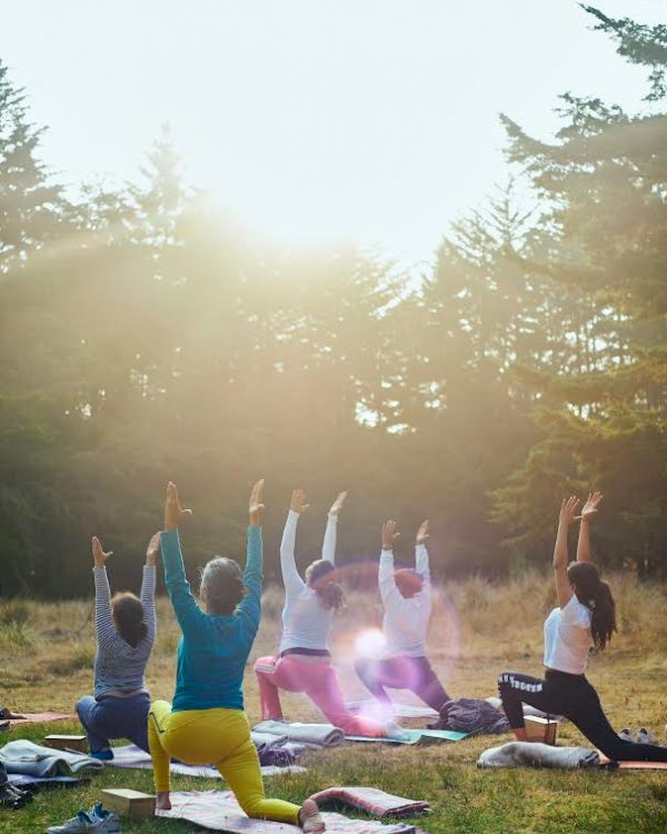 A group of people practicing yoga outdoors in a sunny, wooded area. They are on mats, performing a pose with raised arms.