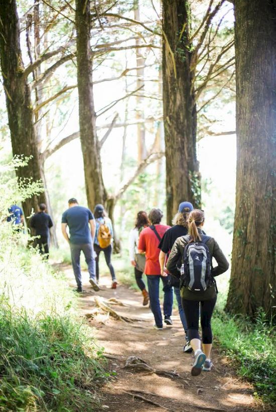 A group of people walking on a forest trail, surrounded by tall trees and greenery, in a serene and sunny setting.