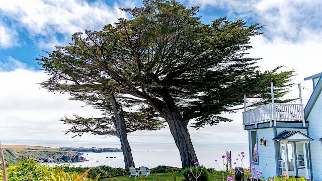 A coastal scene with large trees, a blue house, chairs on grass, and ocean in the background under a partly cloudy sky.