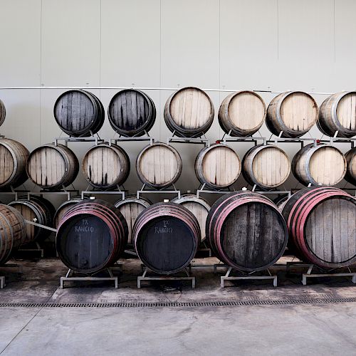 The image shows rows of stacked wooden barrels in a storage area, likely for wine or spirits aging, set against a plain wall.