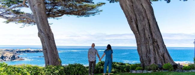 Two people stand hand in hand on a grassy overlook, framed by tall trees, with the ocean stretching out behind them.